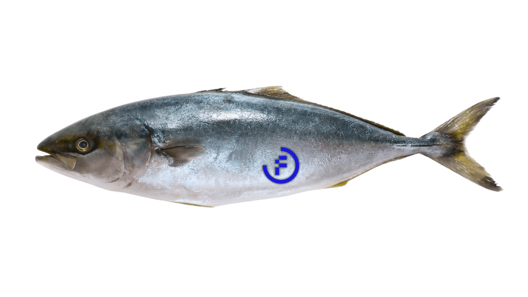 how-to-mine-tuna.png