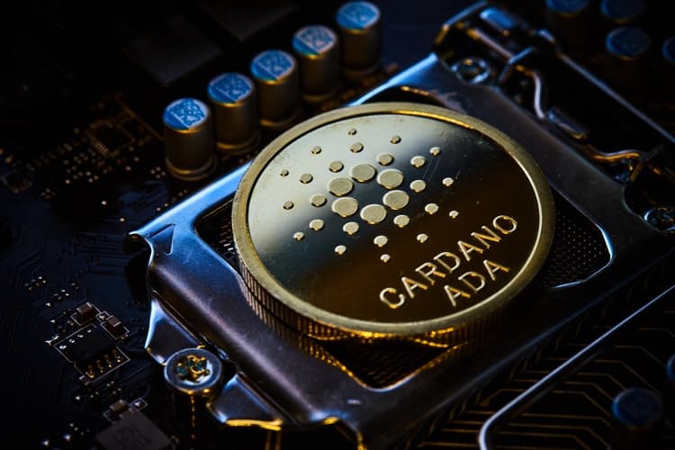 what-is-cardano what-is-cardano-750x500.jpeg